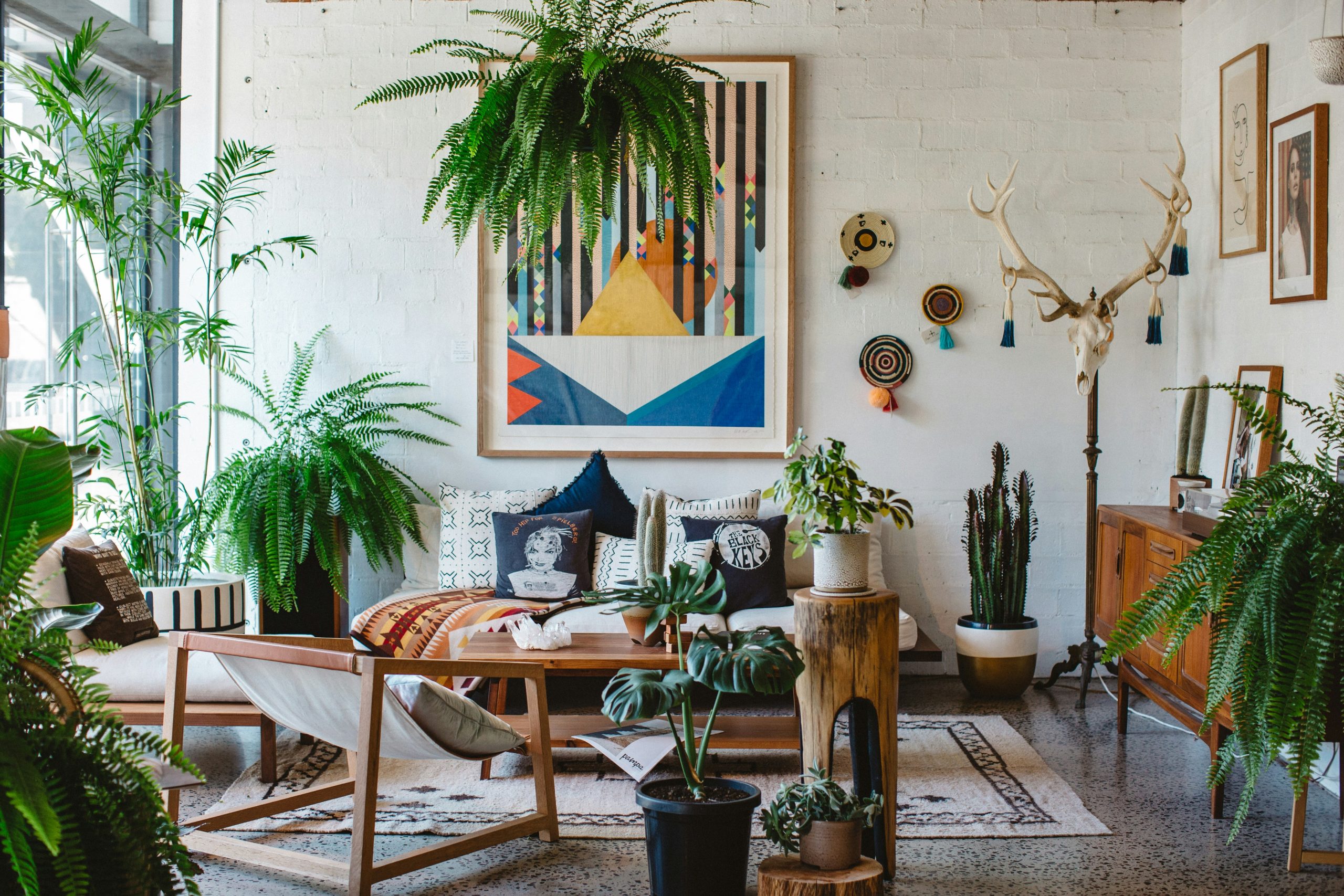 Indoor Gardening Tips