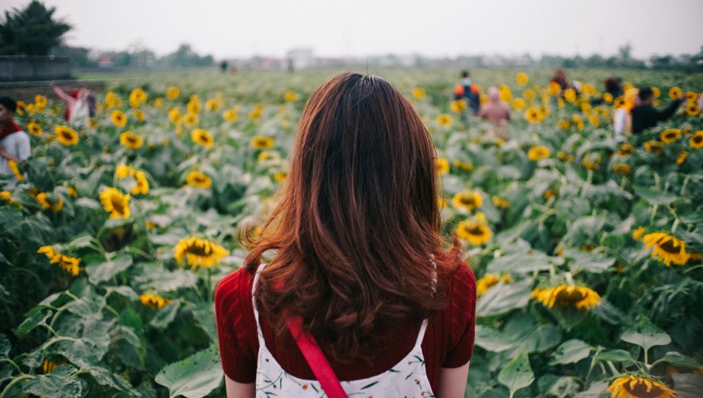 Impact of a Flower in Mental Health