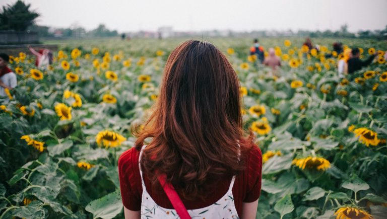 Impact of a Flower in Mental Health