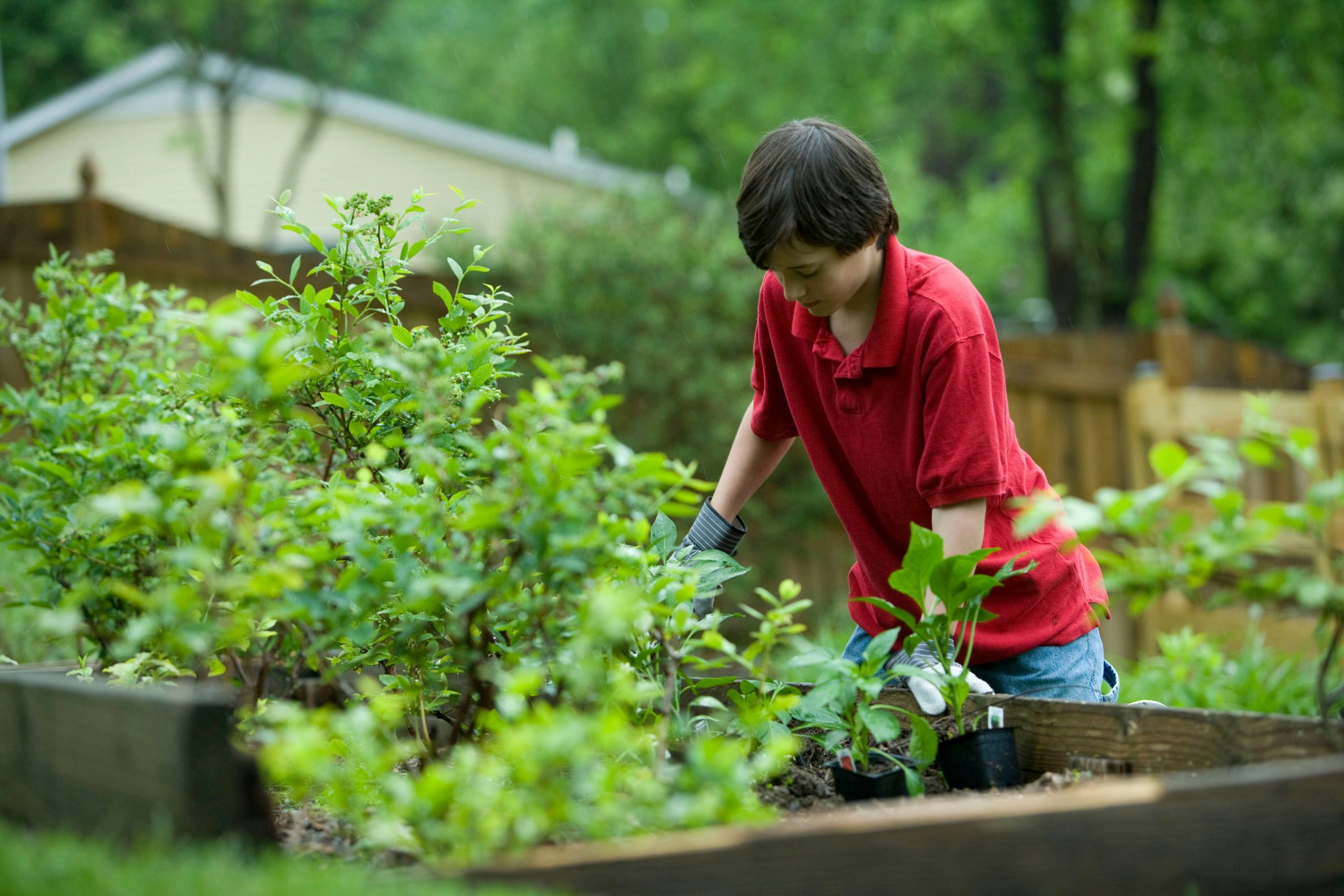 How to Detox Your Life Naturally With Everyday Habits