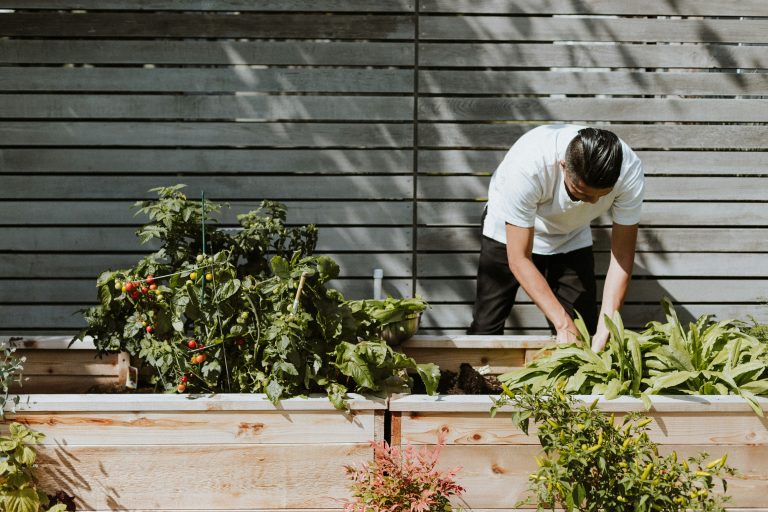 Happiness is Homemade — and Homegrown
