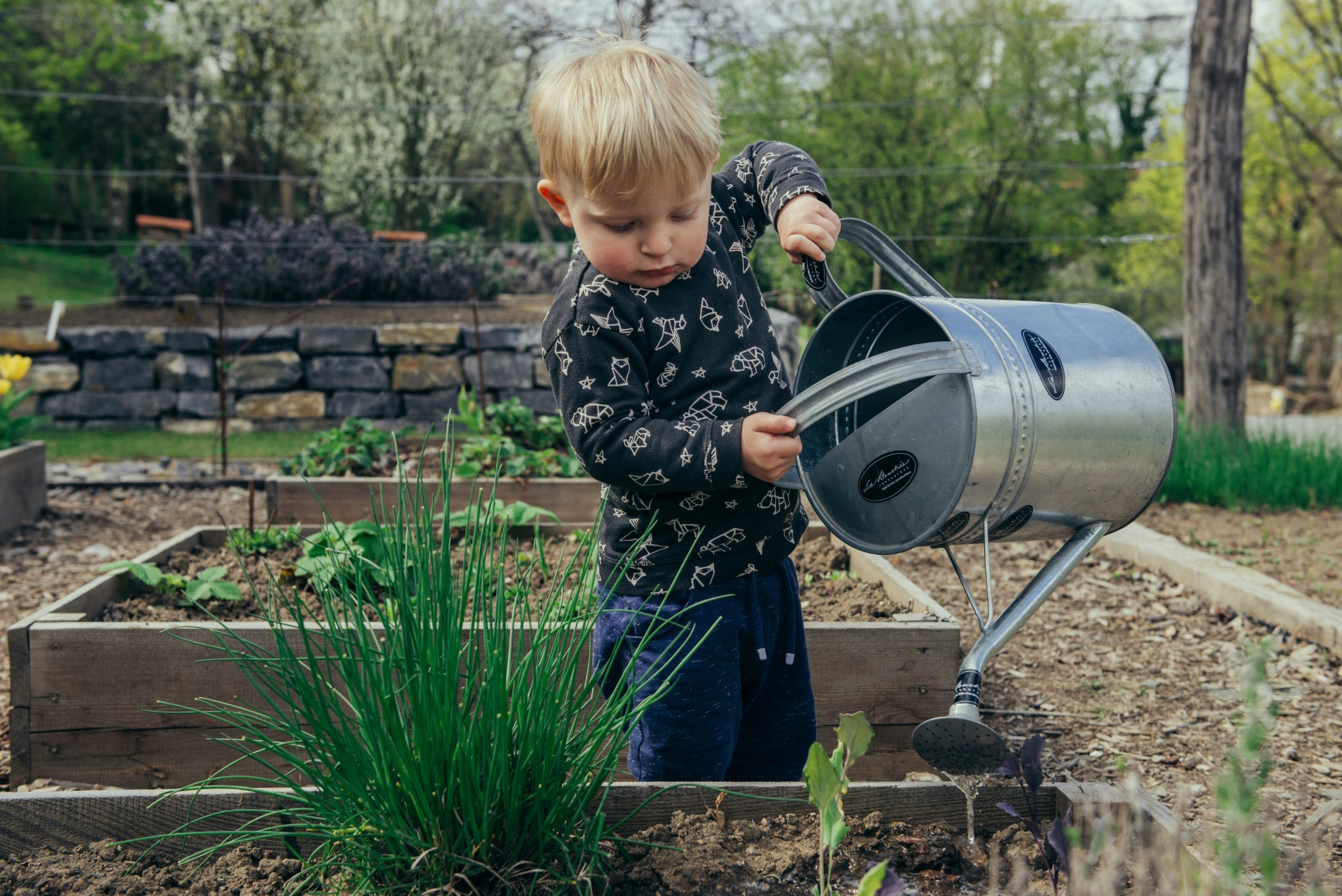Why Gardening Services Are the Future of Urban Living