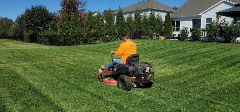 Lawn Mowing & Grass Care
