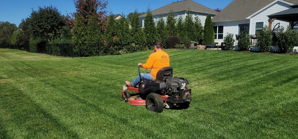 Lawn Mowing & Grass Care