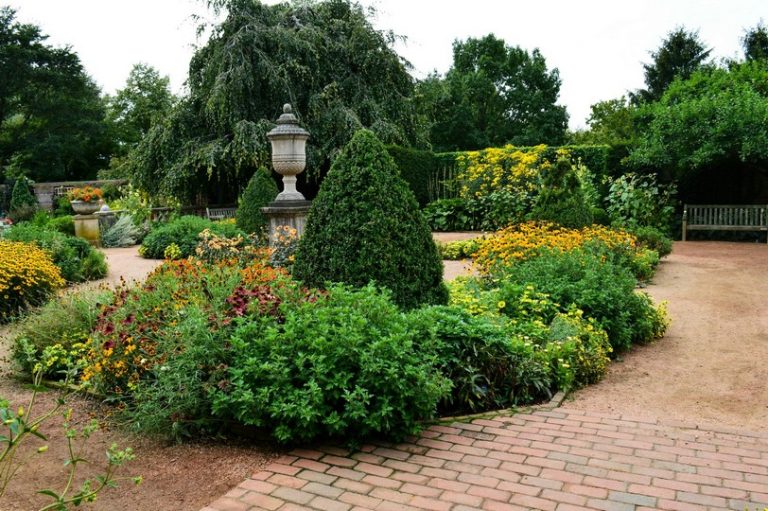 Botanical Cottage Border Flowers