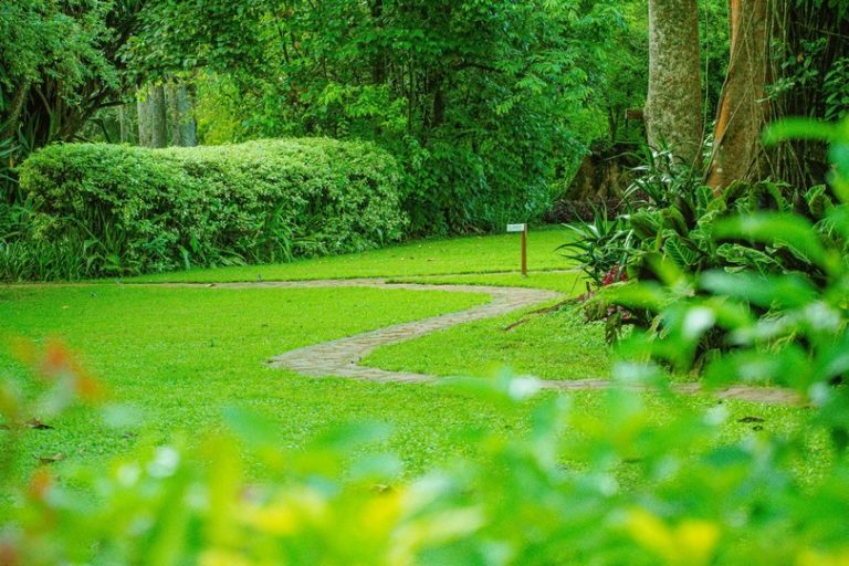 Estate Lawn & Emerald Turf