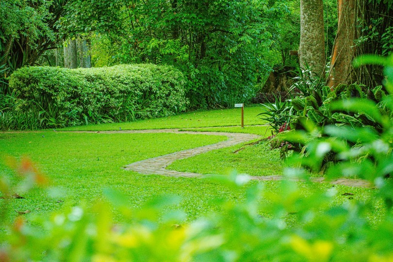 Estate Lawn & Emerald Turf