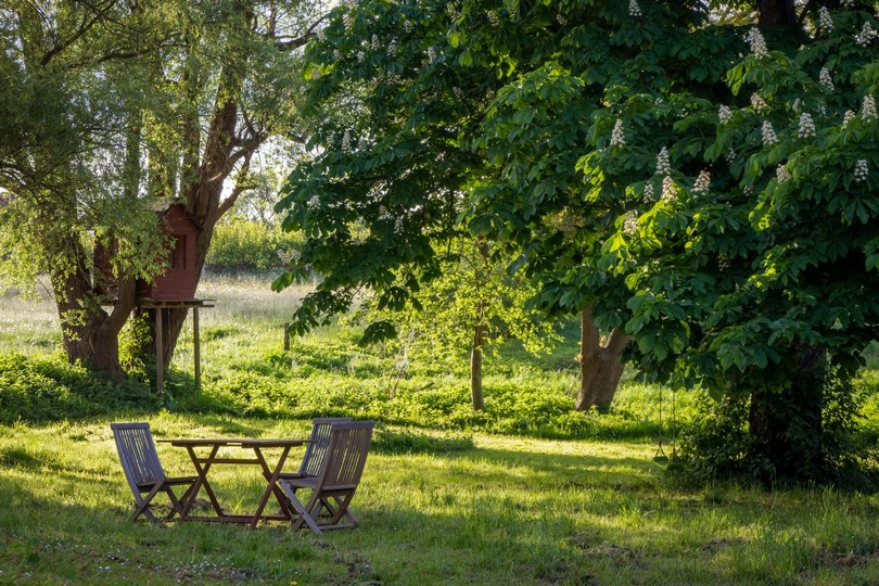 Sunlit Glade & Shaded Greenery