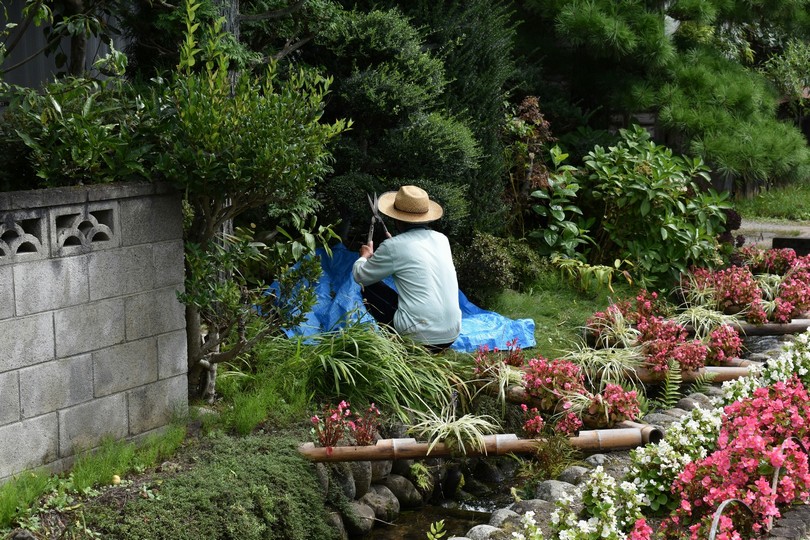 Flowering Shrubbery & Fairy Statuary
