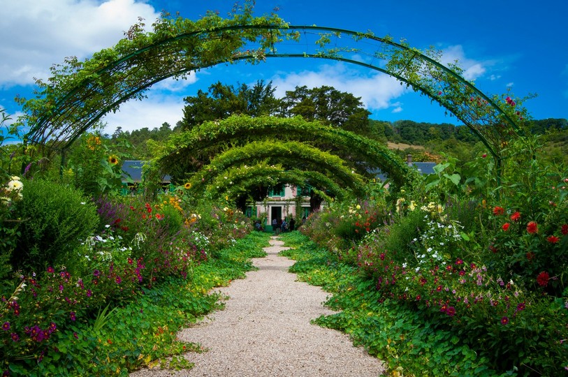 Rose Arbour & Floral Archway
