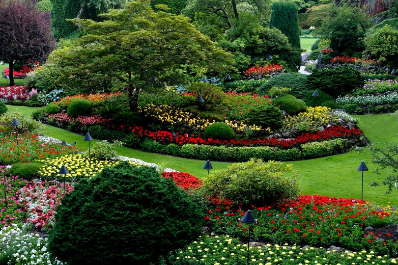 Landscape Floral Architecture