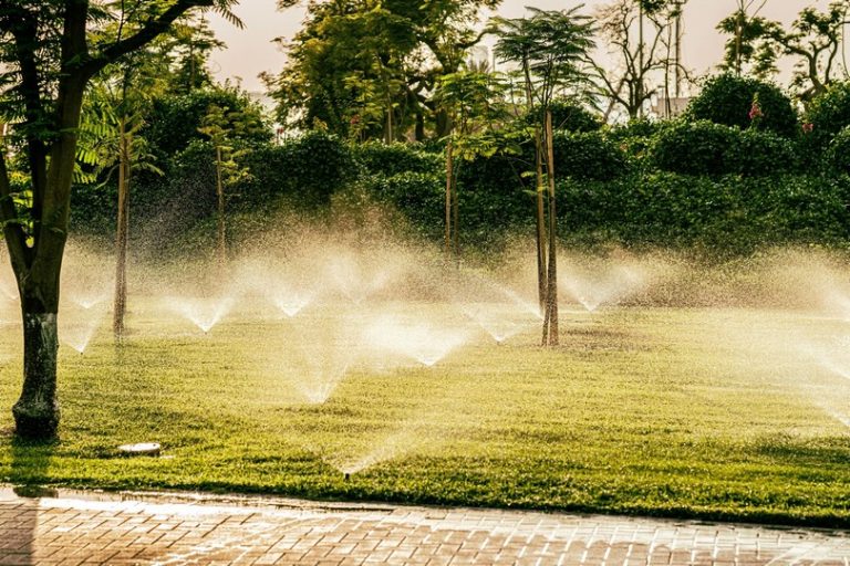 Manicured Residential Turf