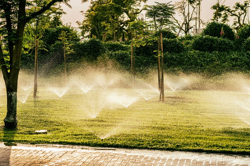 Manicured Residential Turf