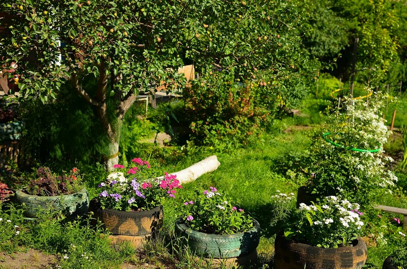 Courtyard Trellis & Climbers