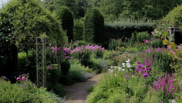 Shaded Pergola & Climbing Vines