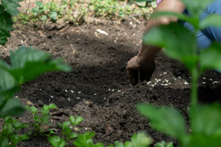 Soil Improvement