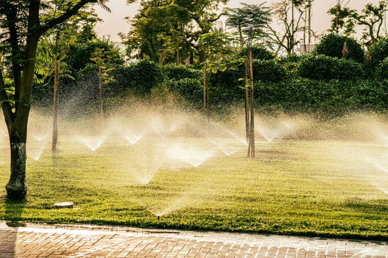 Irrigation Services